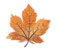 Healifty 12pcs Yellow Embroidered Maple Leaf Patch Set for Clothing, DIY Sewing Decoration with Wireless Stitch and Embroidery Motif