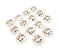 Healifty 14pcs Wooden Growth Cards with Beautiful Painted Design for Newborns, for Celebrating The First Year of A Birth and Life Recording