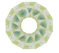 Healifty 32pcs Four Leaf Clover Sticky Notepads Shamrock Adhesive Memo Pads Removable Self Stick Notes for St Patrick’s Day Stationery Small Reminder Pads for Study and Office Use