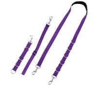 Healifty 3pcs Pet Grooming Strap Set with Adjustable Extension Ropes, Purple Dog Bathing Loop and Slip Leash for Grooming and Bathing