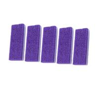 Healifty 5Pcs Volcanic Foot Care Tool Foot File Callus Remover Refills for Heel and Sole Exfoliating Dead Skin Pedicure Scrubber Blocks in Purple