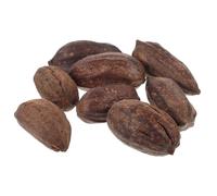 Healifty 8pcs Natural Dried Fruit Parrot Chewing for Pet Birds, Healthy Foraging Shredding, Large Peanut Shape Suitable for Small to Medium Parrots and Cage Play