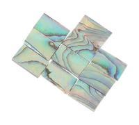 Healifty Abalone Shell Inlay Strips Synthetic Material 10pcs Assorted Colour for Guitar Sound Hole Decoration for Musical Instrument Accessories