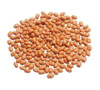 Healifty Lifelike Artificial Peanut Kernels Simulation Nut Models for Home Decor Photography Props and Educational Use Realistic Fake Dried Fruits for Kitchen and Dining Table Display