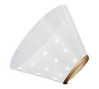 Healifty Pet Cat Collar Adjustable Protective Cone with Gold Trim, Size 1, Wound Healing Elizabethan Collar for Kitten and Dog Post-surgery Care