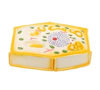 Healifty Plant Cell Anatomy Model for Biological Teaching Middle School Science Display Anatomical Plant Cell Model Biology Teaching Aid School Supply Detailed Structure