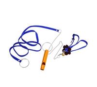 Healifty Small Blue Tortoise Walking Leash with Harness Vest for Outdoor Use, Lightweight Pet Pulling Rope for Land Turtles, Suitable for Small Tortoise Control and Hauling Random Color