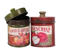 Healifty Vintage Kitchen Canister Set 2Pcs with Airtight Lids, Metal Storage Jars for Coffee Tea Cookie, Rustic Containers for Photo Props and Wedding Decor