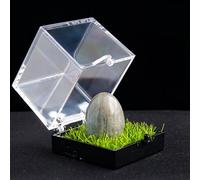 Healing Crystal Egg Palm Stones Natural Gemstone Polished Tumble Stones for Decoration Chakra Reiki Balancing Jewelry Making,Labradorite