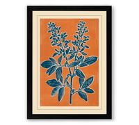 Healing Herb Study Botanical Framed Wall Art Print A1 (84.1×59.4cm) Black, Wall Decor for Living Room, Bedroom, Office & Home, Ready to Hang, Art Gift