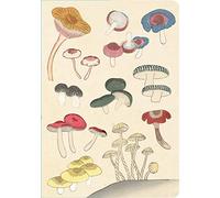 Healing Mushrooms Paperback Journal: Lined: Notebook with Pocket: Blank Notebook with Pocket