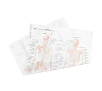 HEALLILY Anatomical Skeletal System Poster in Beige Cloth Material, 50x70cm, Educational Human Anatomy Hanging Decor for Daily House Use and Study
