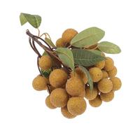 HEALLILY Artificial with Colour Retention and Realistic Fruit Model Made of, Lifelike Tropical Fruit Prop Teaching Tool for House Decoration and Shop Display