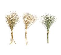 HEALLILY Dried Gypsophila Bouquet 3 Bunches of Permanent Babysbreath Flowers for Vase Decor Rustic Home Room Decor Floral Arrangements Card Making Supplies Beige 7.09 X 3.74 X 0.79 in
