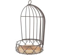 HEALLILY Elegant Iron Wire Birdcage Planter with Strong Metal Construction and Wood Accents, Stylish Hanging Flower Holder for Office Or Flower Garden Decoration