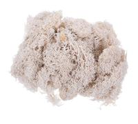 HEALLILY Preserved Colour Moss, Floral Fresh for 50g DIY White Arranging Material Adds Texture Decoration and Fairy Gardens and Miniature Scenes