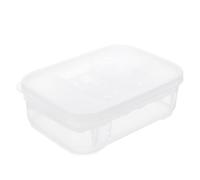 HEALLILY Reptile Breeding Hatchery Box for Snakes and Lizards with Double-layer Partition and Grids Design, Plastic Material, Convenient Storage and Support for Repeated Use in Reptile