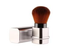 HEALLILY Retractable Multi-functional Powder Foundation Brush for Professional and Home Use, Plastic Silver Full Coverage Cosmetics Brush Fashion Blush Design