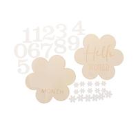 HEALSOPTHY 2pcs Announcement Sign Wooden Milestone Circles Floral Design Monthly Growth Tracker Photo Prop Set for Newborns Nursery Decor and Shower Gift