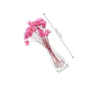 HEALSOPTHY 2pcs Miniature Dried Flower Vase with Transparent Glass Mini Dollhouse Dried Bouquets and Preserved Wildflowers Micro Potted Plants for Dollhouse Decor and Creative Floral