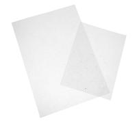 HEALSOPTHY 2pcs Peony Flower Heat Shrink Sheets Transparent Pre Cut Shrinky Plastic for DIY Hairpin Accessories Floral Crafts Semitransparent Material with Precise Shrinking for Lasting