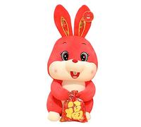 HEALSOPTHY Cute Cartoon Rabbit Plush Lucky Bag Doll for Chinese Year Adorable Stuffed Animal Decorative Soft Adults