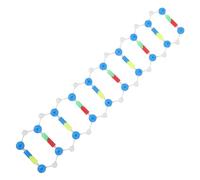 HEALSOPTHY Dna Double Helix Model Kit Educational Biology Teaching Aid Self Assemble Scientific Science Learning Tool for Students and Medical Education