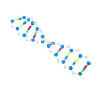 HEALSOPTHY Double Helix Dna Model Kit for Students Interactive Genetics Teaching Tool with Detailed Molecular Structure for Biology Education Classroom and Laboratory Demonstrations
