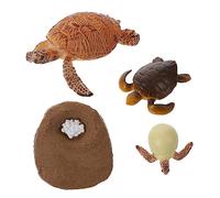 HEALSOPTHY Lifelike Turtle Growth Cycle Model Educational for Early Learning Natural Science Cognition Figures Decorative Animal Teaching Aid for Preschool