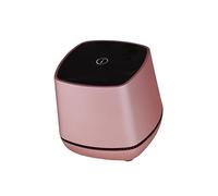HEALSOPTHY Portable Mini USB Speakers for Desktop and Laptop Wired Bass Sound Music Player Rose Gold Compact Design with Volume Control for Use