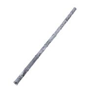 HEALSOPTHY Professional Resin Flute for Starters and Music Lovers with 8 Holes, Ergonomic Finger Hole Layout, Smooth Playability, Comfortable Grip, and Sturdy Unbreakable Structure for Small
