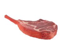 HEALSOPTHY Realistic Artificial Steak Food Prop Plastic Simulated Meat Model with Authentic Look and High Versatility for Table Display and Classroom Teaching Decoration