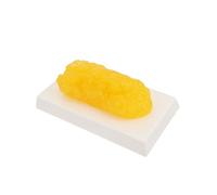 HEALSOPTHY Realistic Human Body Fat Model for Anatomy Study Demonstration Model for Nutritionists Fitness Trainers and Weight Loss Motivation Eco Friendly Yellow Anatomical Fat