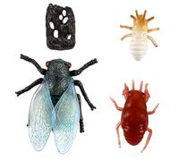 HEALSOPTHY Simulated Cicada Life Cycle Figurines Realistic Insect Animal Figures Educational for Learning Biological Development and Party Favors Stages Models