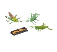 HEALSOPTHY Simulation Growth Cycle Model Educational for Vivid Biological Learning Figurines for Early Science Exploration and Nature Cognition