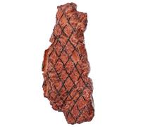 HEALSOPTHY Simulation Steak Model Plastic Food Realistic Decorative Fake Steak for Photo Props Teaching Mold Window Display