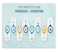Healthcare Efficiency Poster The Eight Wastes in Lean Hospital Wall Art for Office Workplace(Unframed,12x18inch(30x45cm))