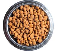 Healthy Complete Grain Free Dry Dog Food for Adult Dogs by Britten and James. Natural, High-Protein Kibble with Omega 3 & Prebiotics. Salmon with Trout, Sweet Potato & Asparagus (1.5kg)