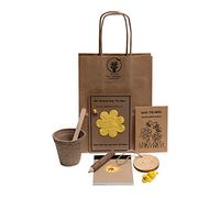 Healthy Eco-Friendly Party Bags - Pre-filled Gift Sets for Kids' Birthday - 10 No-Plastic Sustainable Thank You Bags (Save The Bees)