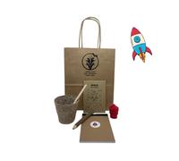 Healthy Family Eco Friendly Birthday Party Bags, No Plastic, Pre-filled Party Bags For Kids, Party Bag Gifts For Kids, Sustainable Party Bags, Thank You Bags, Alternative Party Bag Ideas (Space)