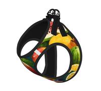 Healthy Food Print Reflective No Choke Pet Vest Harness,Adjustable Soft Padded Dog Harness With Easy Control Handle