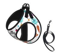Healthy Food Print Step in Dog Harness and Leash Set,Mesh Pet Vest Harness for Small Dogs and Cats
