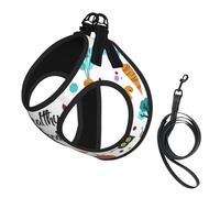 Healthy Food Printing Dog Summer Harness,Soft Light Puppy Vest,Breathable Pet Harness Reflective For Easy Walking