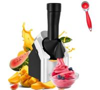 Healthy Frozen Fruit Dessert Maker Soft Serve Machine