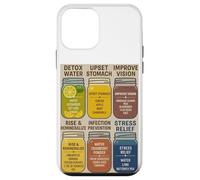 Healthy Juice Wellness Recipes Detox Natural Remedy Case for iPhone 12 mini