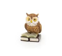 Healthy Living Direct Reading Owl Ornament