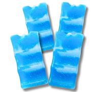 Healthy Packers Ice Packs for Coolers | Can Coolers | Breastmilk Cooler Ice Pack | Long-Lasting Reusable Ice Packs - 6 Can (Pack of 4)