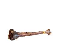Healthy Paws Ostrich Caveman Bone - Extra Large Dog Chew - Long Lasting Treat for Large Breeds - Hypoallergenic, Low Fat - Salt, Soy, Grain & Sugar Free - Ideal for Pets with Food Allergies - 1 Piece