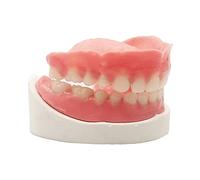 Healthyare Denture Do it Yourself Full Set of Top and Bottom Fake Teeth for Improve Smile