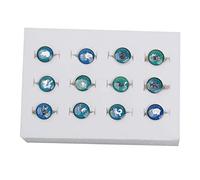 Healvian 12Pcs Color Changing Finger Rings Creative Chinese Zodiac Themed Accessories for Parties Weddings and Daily Wear Unique for Friends and Loved Ones